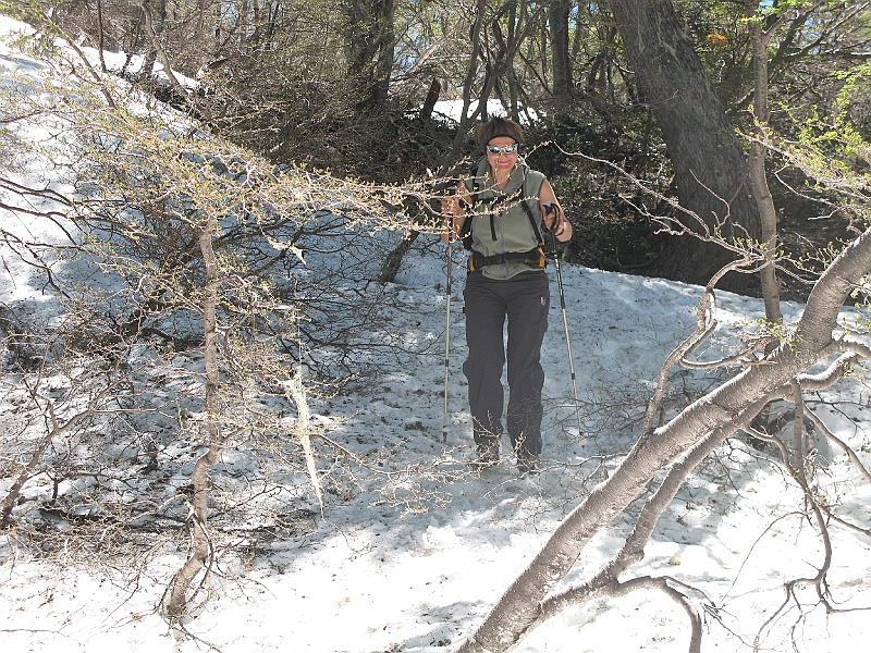 Patagonie 415.jpg